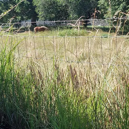 La Parenthese * マルシュ・アン・ファメンヌ